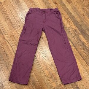 GAP Men's Plum Cargo Pants